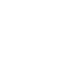 Norton Logo
